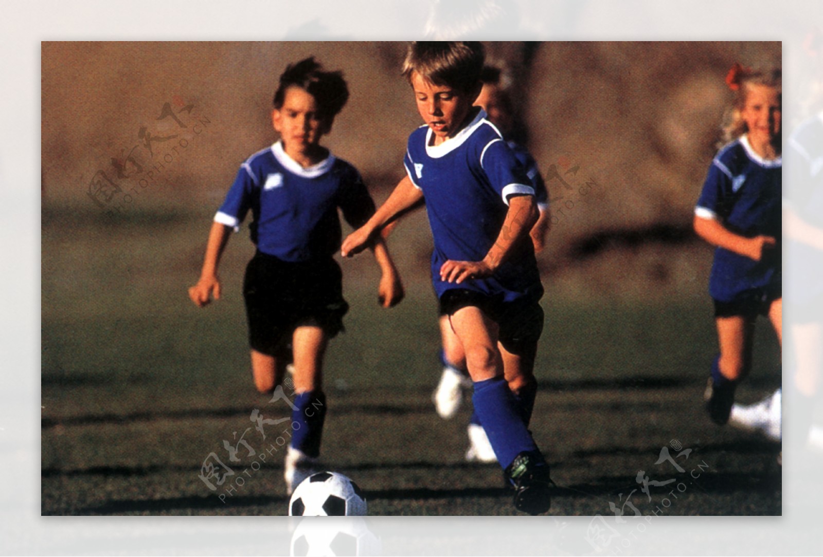 智能的法律 智能的法律