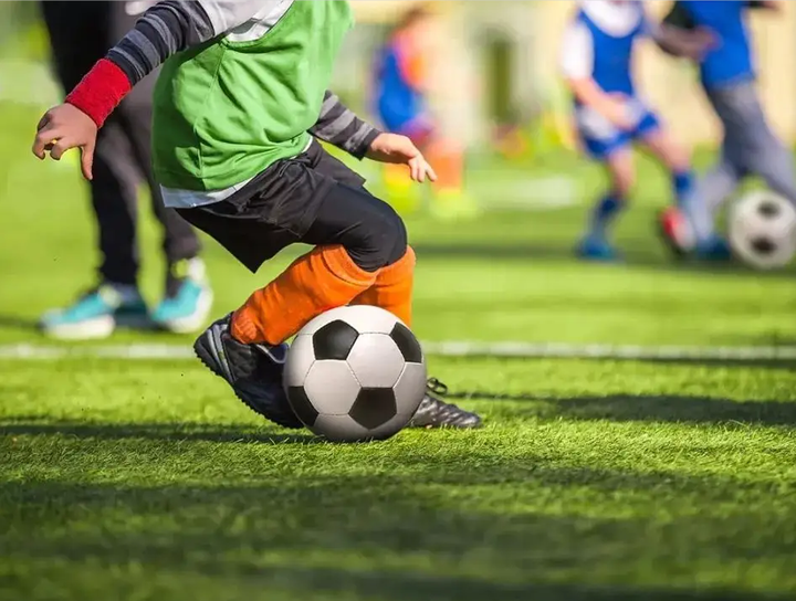 法国队继续 法国队继续