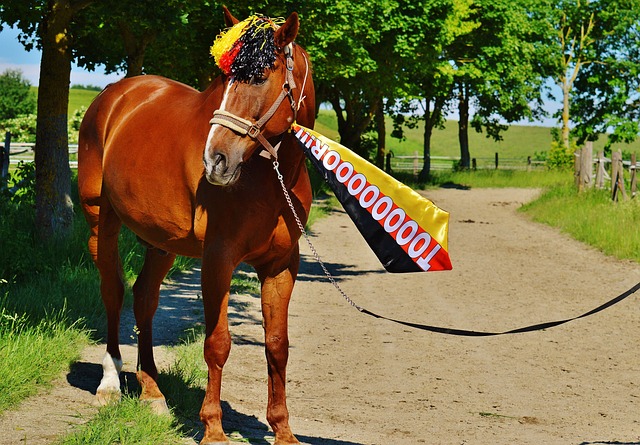心的市场影 心的市场影