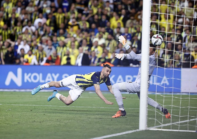 训练与策略 训练与策略