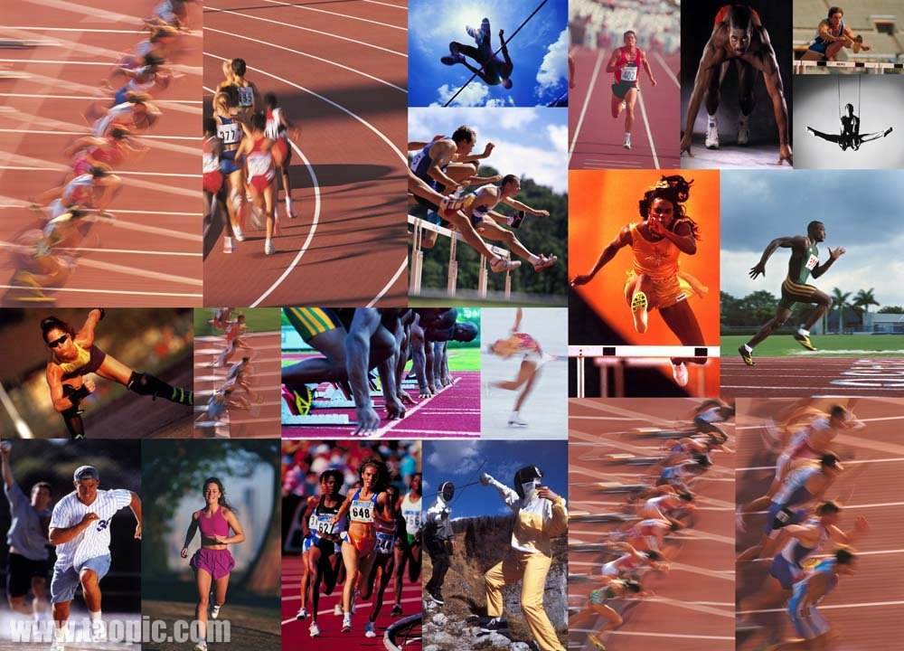 获利使命如 获利使命如