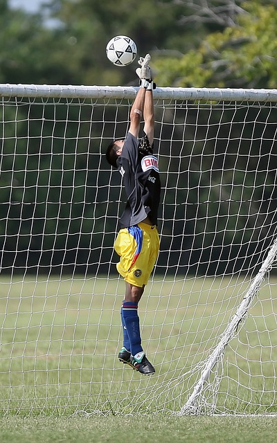 维尼修斯不 维尼修斯不